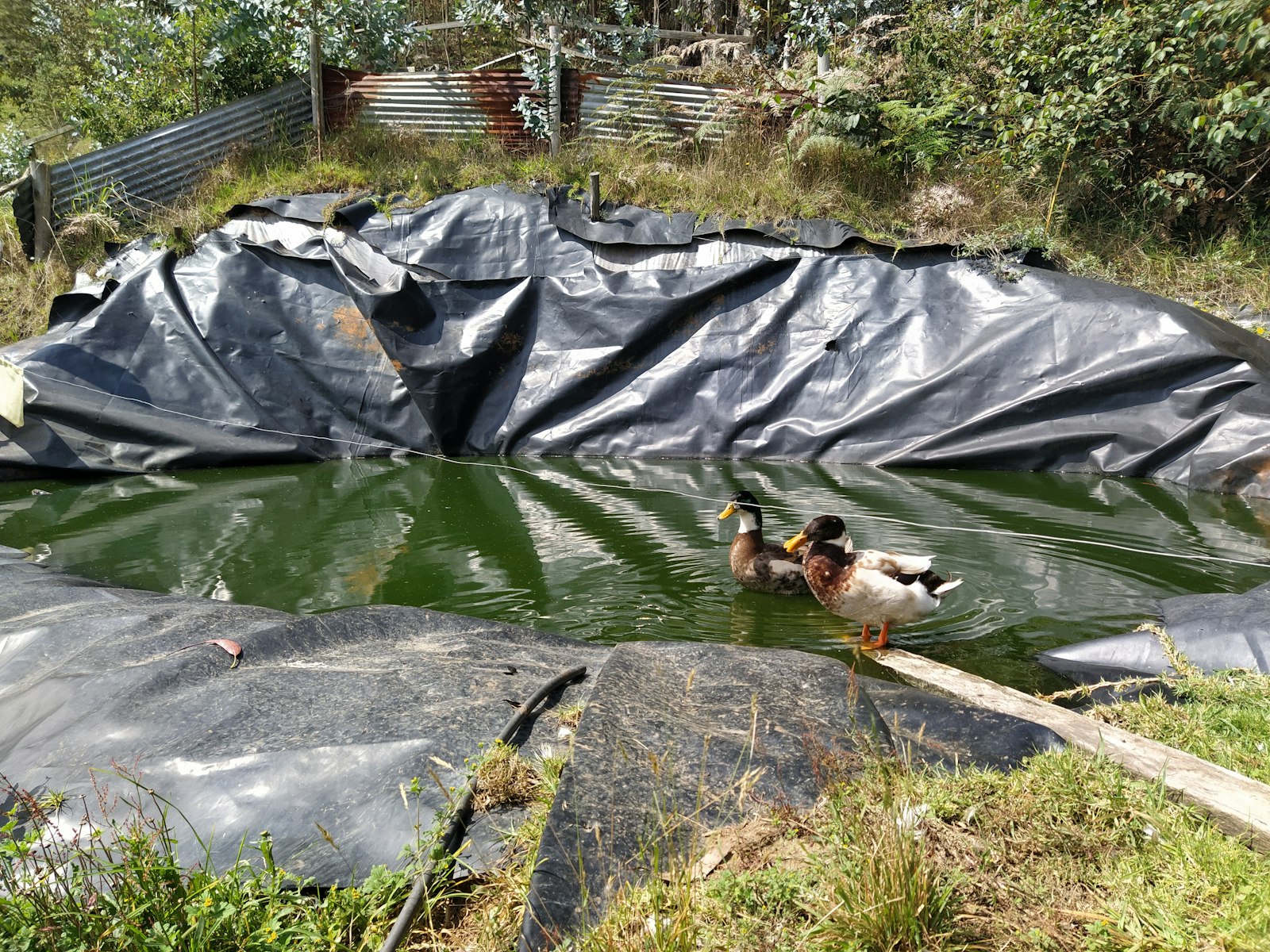 EPDM vijverfolie 1.5 mm
